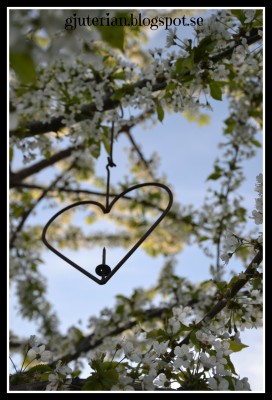 hjärta i träd