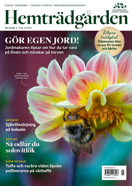 Hemträdgården 5/2026