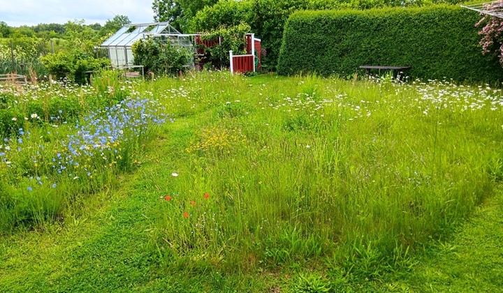 Ödegårdens trädgård, Varnhem