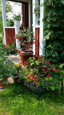 26194623_10155319336544211_670630836_o