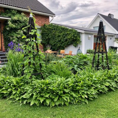 74963A2C-7CB7-475D-9B99-9974730CD10F