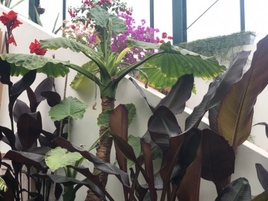 C8F2B8EF-0306-4CBD-9C8A-F6A211F87630