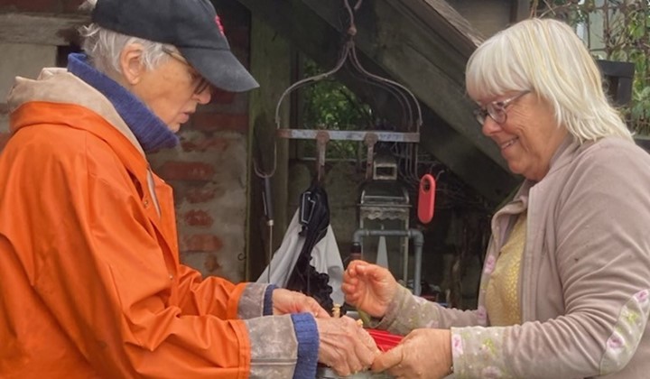 Alvesta Trädgårdssällskap, Alvesta