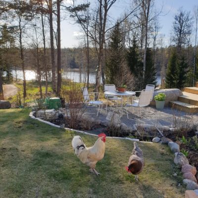 IMG_20200503_103804_352