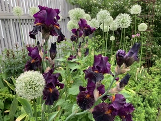 97E2C8EA-3CF1-454B-BACA-DCFE5683CA5B