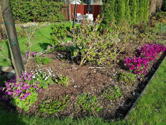 20180427_172424 mitten