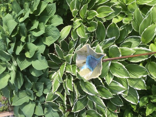 3ABB044A-DA60-41E1-8334-898506723C26