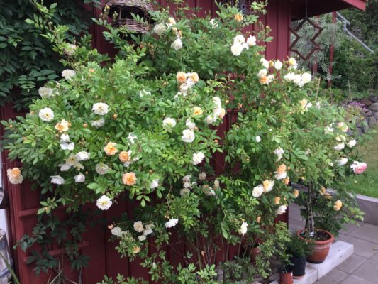 9E62B256-4833-44C8-8CDB-994BF2952C15