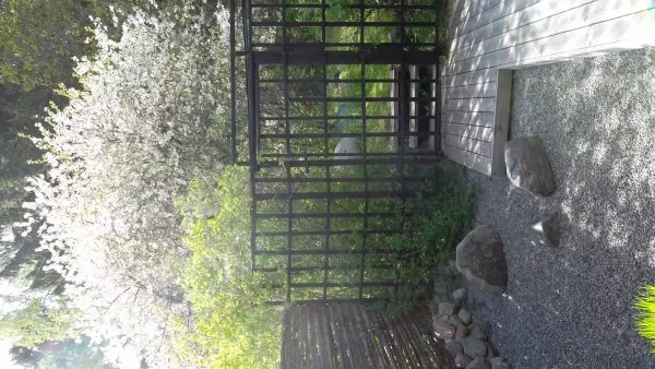 Öppen Trädgård  Ingång till japanska trädgården (2)