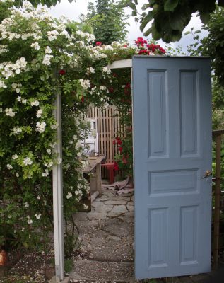 IMG_1997 - Kopia (2)