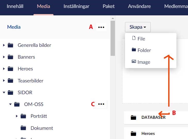 Frågor u0026 svar - Riksförbundet Svensk Trädgård