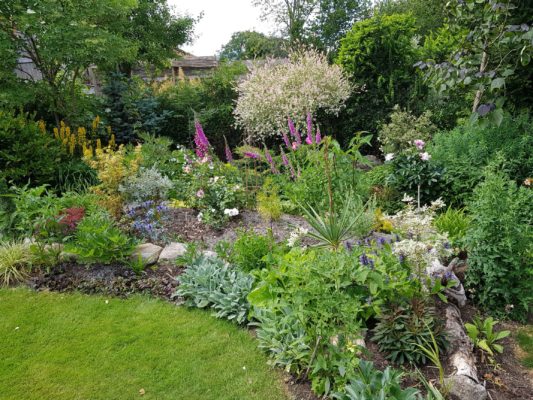 20190703_15254 solrabatt