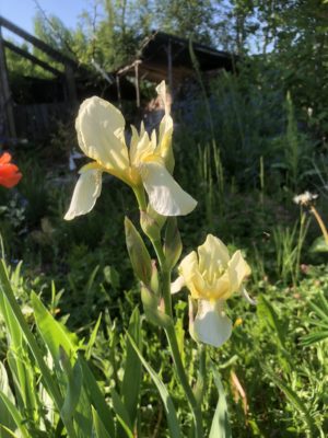 5EE0496D-6937-4D11-8E58-3B61F4EC3FE5