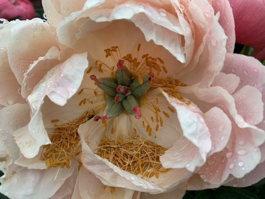 54569B94-A9F2-4E73-B279-9F0AF91A3367