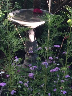 55656B05-56C3-4739-AD02-DC08A67B885C