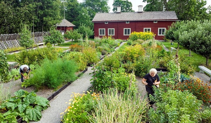 Linnes Bröllopsstuga  och Trädgård, Falun