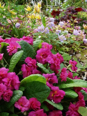 photo_7141