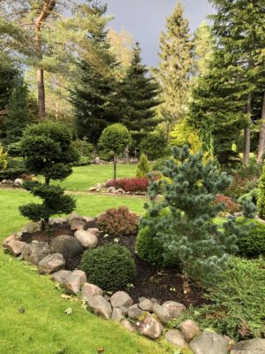 494824F4-E124-4995-A671-B897CF82DC6E