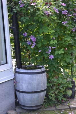 DSC_0211 vattentunna