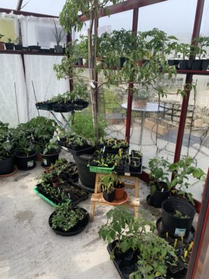 y+cxQsHqSoyU78yyPlccyw