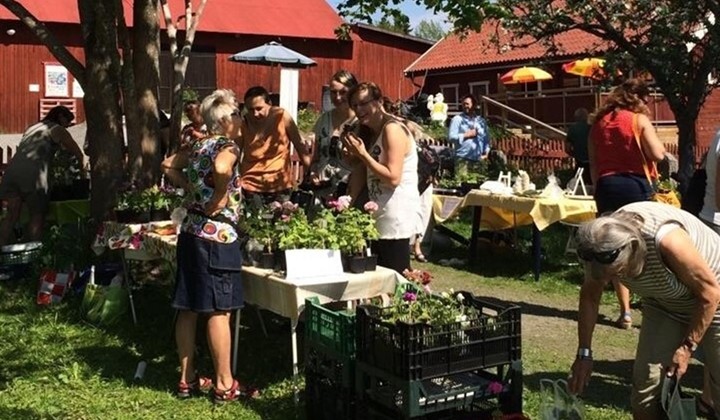 Norrtälje Trädgårdsförening, Norrtälje