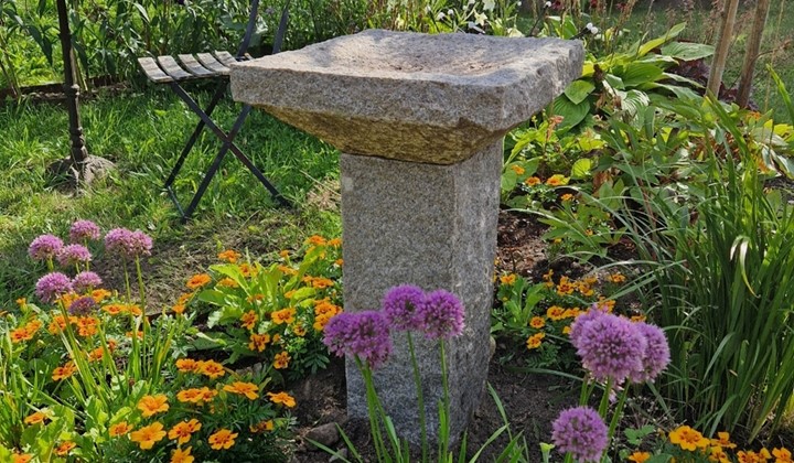 Marias trädgård, Lövestad