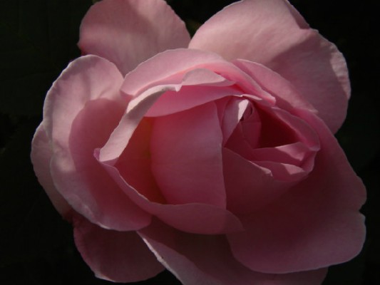 photo_7142
