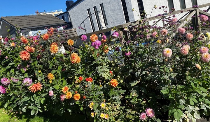 Gråbogatan, Huskvarna 