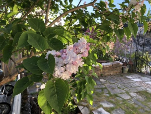 ACDFB778-6E76-482D-BE6E-272460BF4BEA