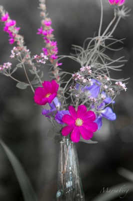 110906-Mariaberg-81968