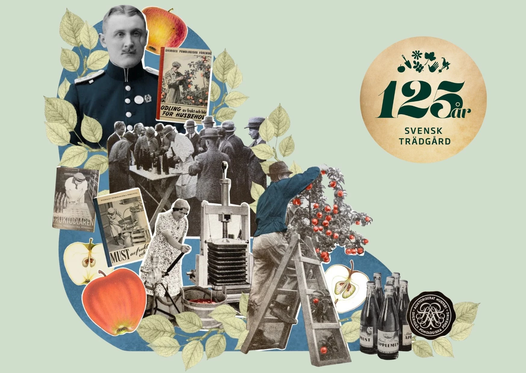 Morotsutmaning 2025 (5)