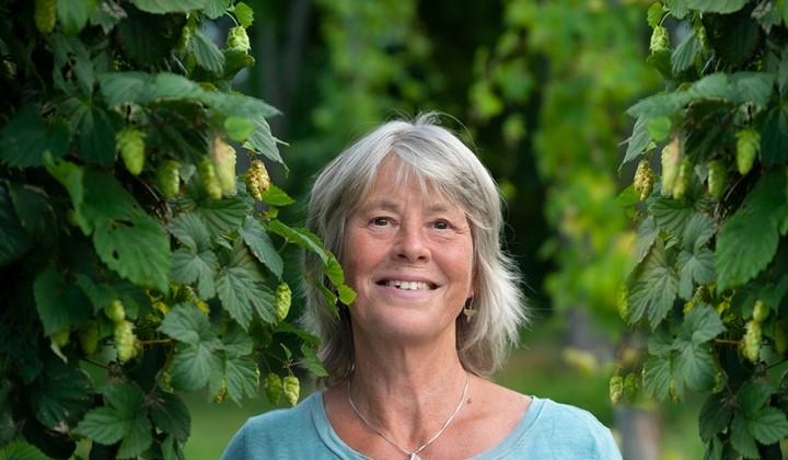 Humle i teori och praktik, Sköldinge