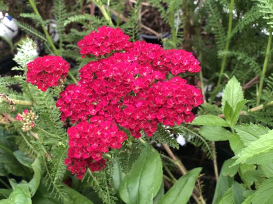 5DFD478C-8F3D-4160-84B7-870E4878A6F4