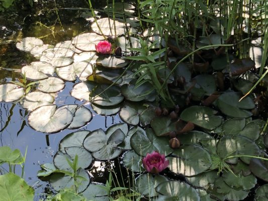 D5450F41-E75B-4953-8002-A84AE549E010