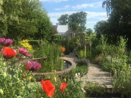 Erkes trädgård vallmon