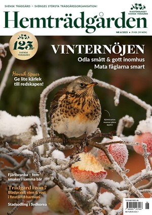 Hemträdgården 6/2025