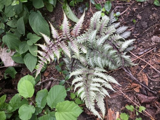 651D685B-DD7F-4A81-92BD-FA596C61F033