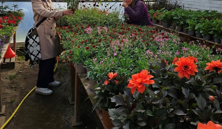 Plantskolebesök Trädgård Väst, Umeå