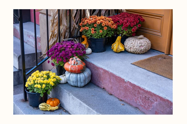 OKTOBER (1)
