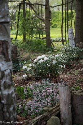 26427948823_1e3f511199_z