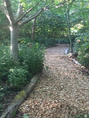 0366BD36-BA9E-483F-B0E0-216D9DF0B70C