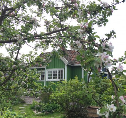 3FF48FFE-06C1-411D-9647-CEF227A21124