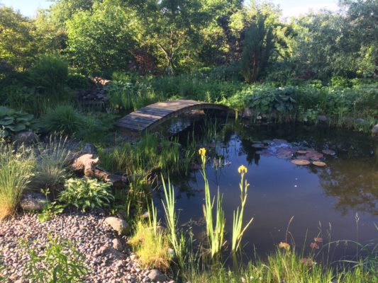 37EDE8F1-BB04-4146-85F8-2EEE1633BBC6