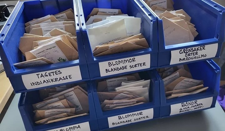 Frösläpp, Biblioteket