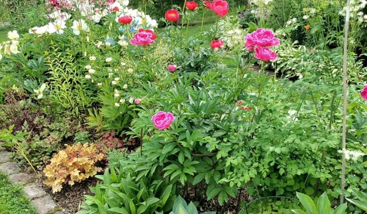 Medlemsmöte med föredrag om en trädgårds utveckling över tid, Umeå