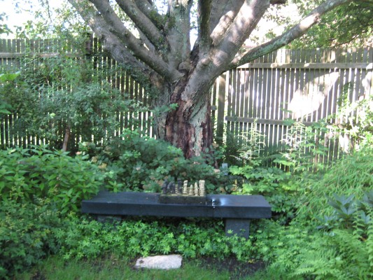 Trädgård 20110709 035