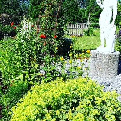 IMG_20190617_085702_854