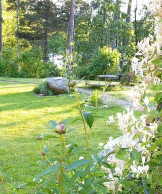 IMG_20200420_063911_134