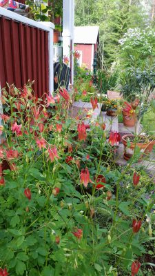 26195226_10155319333719211_1209039494_o