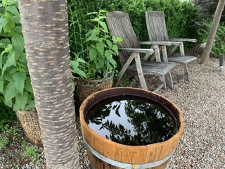 9D36D392-DF93-45CF-AC6B-479C2803AD13